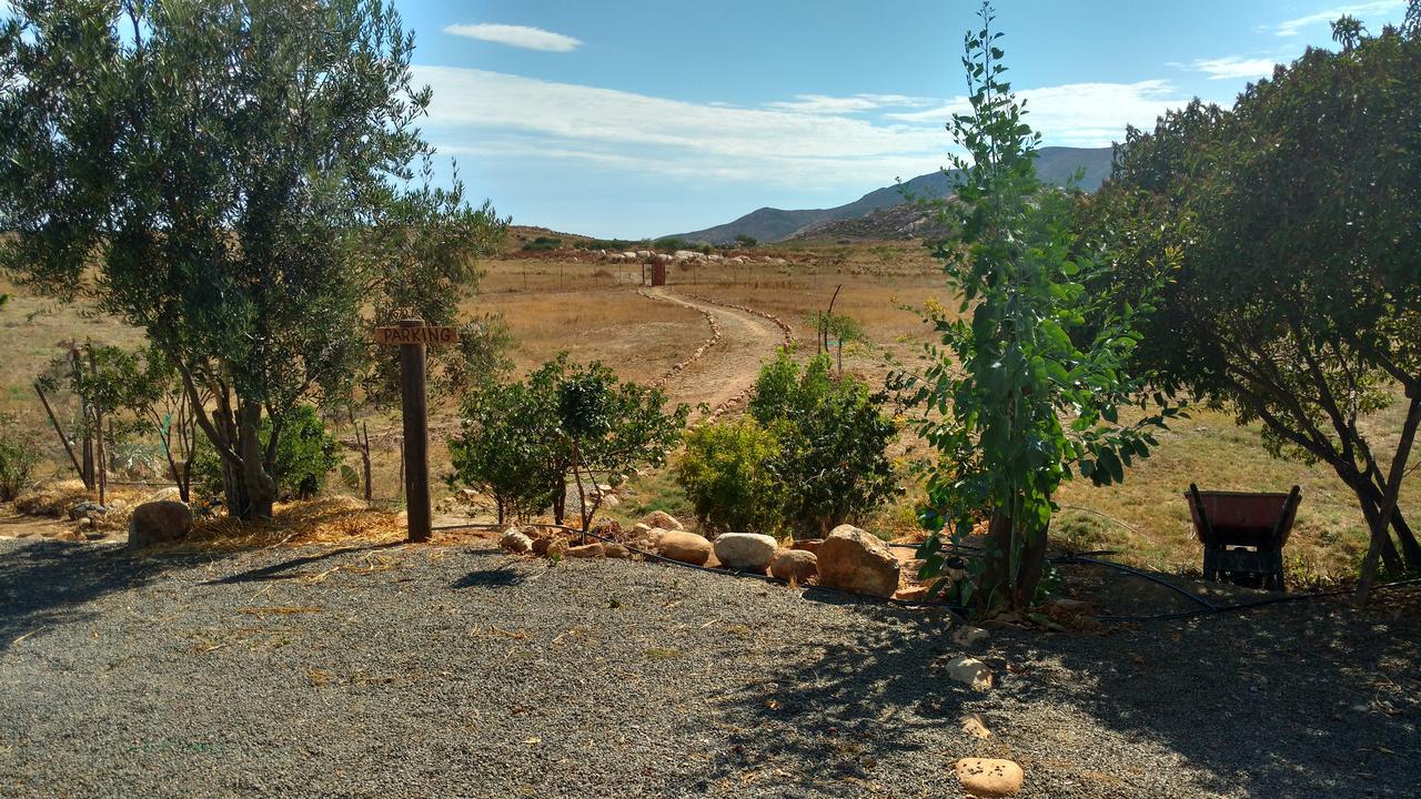 Vinofilia Wine Country Inn Valle de Guadalupe Extérieur photo